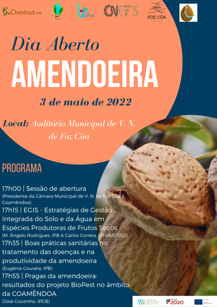 Dia Aberto da Amendoeira – Vila Nova de Foz Côa